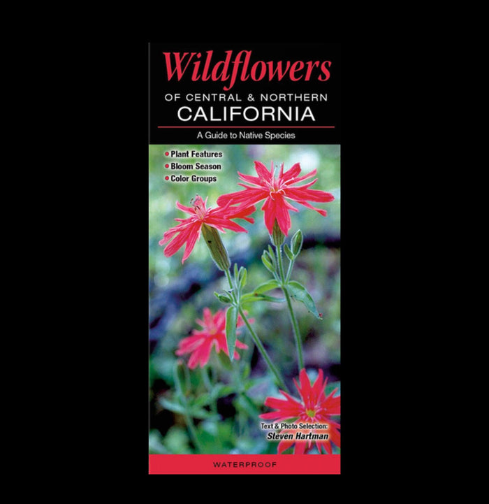 Wildflowers of Central & Northern California-Books-Quick Reference Publishing-PaxtonGate